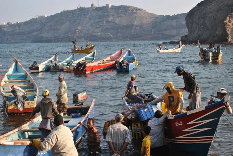 Yemen Crisis: 50,000 Civilians Flee as Houthis Advance