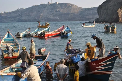 Yemen Crisis: 50,000 Civilians Flee as Houthis Advance